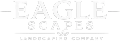 Eagle Scapes